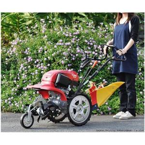 ブラック＆デッカー（BLACK & DECKER） 充電式ミニ耕運機 LGC120N (18V