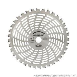 セフティ-3 超剛チップソー 斬龍 255MMX36PJIS 4977292698481
