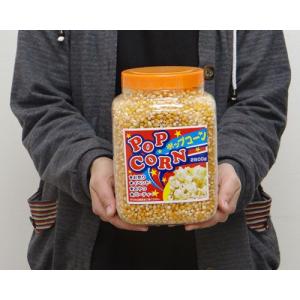 ハニー 高品質ポップコーン豆 2800g ボト...の詳細画像1