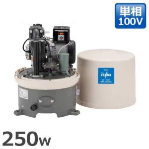 テラル多久 浅井戸ポンプ KEGON WP-205T-1/WP-206T-1 (自動式/100V200W 