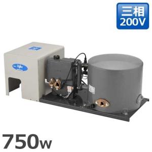 テラル多久 深井戸ポンプ KP-405LT/KP-406LT (標準ジェットKP-J412EX付