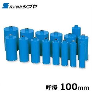 シブヤ ライトビット 80mm (M27ネジ） : さくらOnlineStore