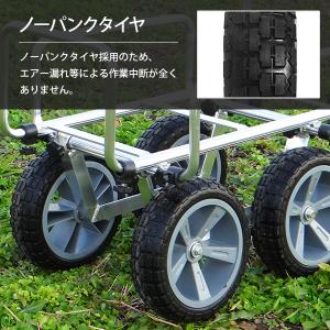 ミナト アルミハウスカー MTA-50N (1...の詳細画像3