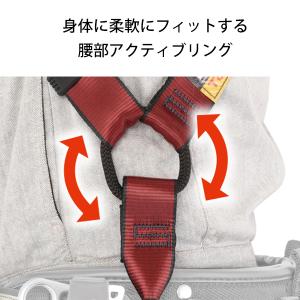 タジマ ハオルハーネスHA 赤 AHAF-RE...の詳細画像5