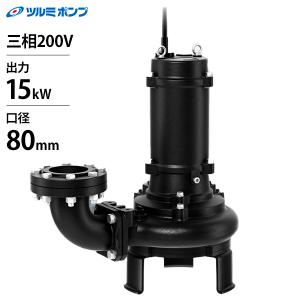 寺田ポンプ 水中ポンプ PG-250 (単相100V/0.25kW/非自動型