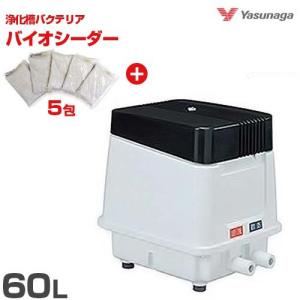 安永エアポンプ エアーポンプAP-60・80用 メンテナンスキット