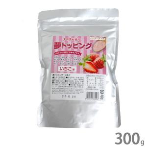 ハニー 夢トッピング いちご 300g [業務用 甘味パウダー かき氷 シロップ ソフトクリーム ケーキ]