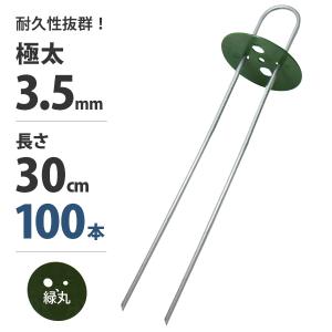 MINATOWORKS（ミナトワークス） 極太3.5mm Uピン杭＋黒丸付き 30cm 100
