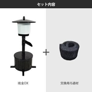 ゼンスイ ウォータークリーナー 琉金DX+交換...の詳細画像1