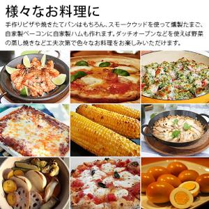 テック堂 家庭用石窯 プチドーム 本体+カバー...の詳細画像5