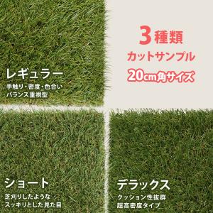 【メール便】リアル人工芝 3種カットサンプル (レギュラー＋ショート＋デラックス)｜minatodenki