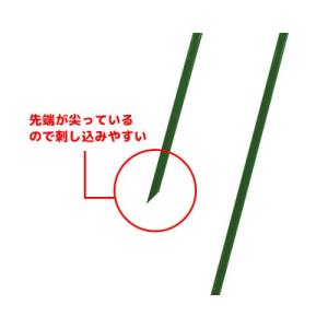 【メール便】第一ビニール 人工芝用 おさえピン...の詳細画像1