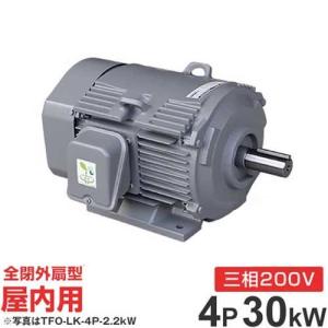 日立（HITACHI） 日立産機 三相モーター TFOA-LKK-4P-22kW 200V ザ