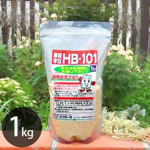 フローラ 天然活力剤 HB-101 500cc (100%天然植物エキスの活力液
