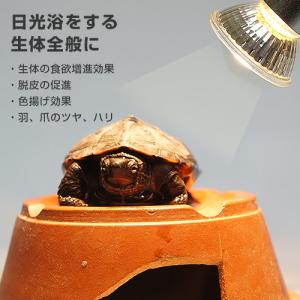 マイクロサン 28W (小型ハロゲン保温球) ...の詳細画像1