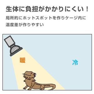 マイクロサン 28W (小型ハロゲン保温球) ...の詳細画像2