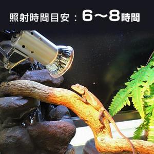 マイクロサン 28W (小型ハロゲン保温球) ...の詳細画像3