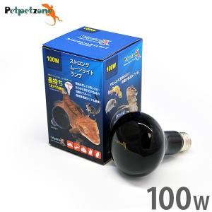 爬虫類飼育設備3点セット(飼育箱+LEDライト+保温球) ゼンスイ ストロング ムーンライトランプ 20W (夜用 保温球) [ゼンスイ