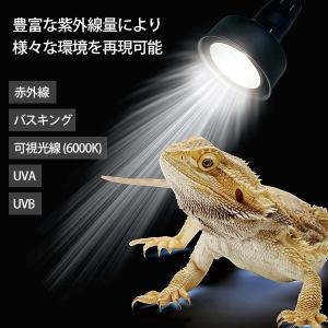 ソラリウム 50W 専用交換球 [ゼンスイ メ...の詳細画像1