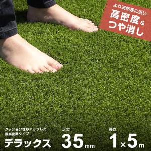 東レ 人工芝 スパックターフNK【90cm巾×1m単位で長さ指定可】パイル長