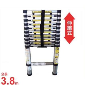 長谷川工業 枝打ちはしご EH-30 (全長3.07m/最大使用重量100kg