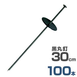 押さえ釘+黒丸付き 30cm 100本セット (...の商品画像