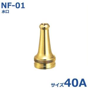 報商 噴口 吐水口ミガキ NF-01 40A｜minatodenki