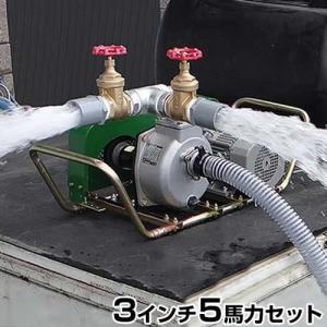 寺田ポンプ 水中ポンプ PG-750 (三相200V/0.75kW/非自動型
