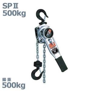 【中古】スリーエッチ HHH 型番不明 250ｋｇチェーンブロック スリーエッチ HHH 手動式 チェーンブロック R-CB0.25TON 荷重250kg