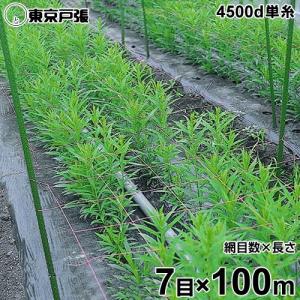 フラワーネット 4500d×1本・単糸 7目×長さ100m｜minatodenki