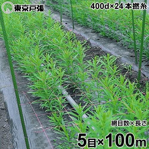 フラワーネット 400d×24本・撚糸 5目×長さ100m