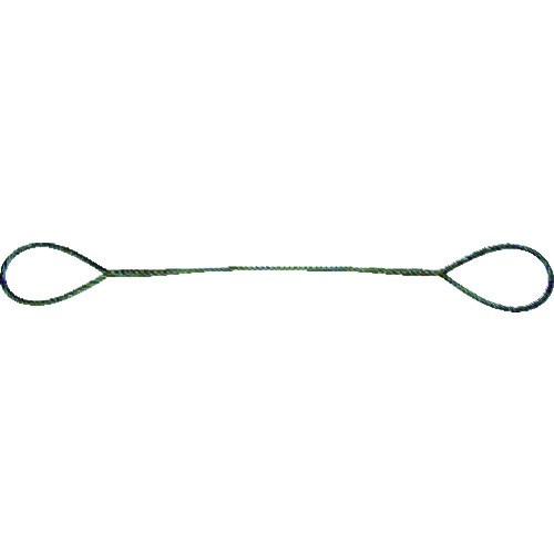 TRUSCO 玉掛けワイヤーロープ 段落し 12mmX1m TWD12S1 [TWD-12S1][r...