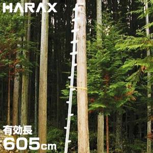 長谷川工業 枝打ちはしご EH-30 (全長3.07m/最大使用重量100kg