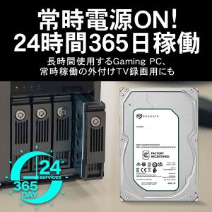 SEAGATE製 IronWolf NAS向け...の詳細画像1
