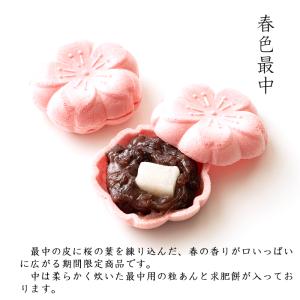 母の日 春色最中 (6個入) さくら もなか ...の詳細画像1