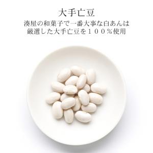 お中元 御中元 りんごあんぱい パイ 饅頭 (...の詳細画像3