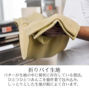お中元 御中元 りんごあんぱい パイ 饅頭 (...の詳細画像4