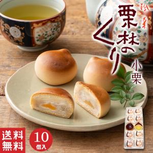 新潟長岡の老舗 西山製菓の名物まんじゅう 4種から選べる10個入/ギフト