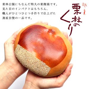 母の日 栗林のくり 大栗 香川 銘菓 栗 まん...の詳細画像1