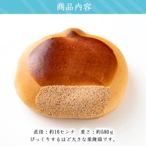 母の日 栗林のくり 大栗 香川 銘菓 栗 まん...の詳細画像3
