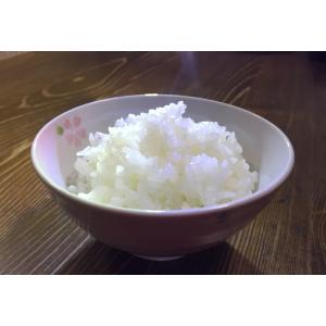 米 新米 令和7年産 契約栽培 京都 丹波産 ...の詳細画像1