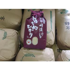 新米　令和５年産【あすつく】　契約栽培　京都丹波産きぬひかり100％白米　5kg　