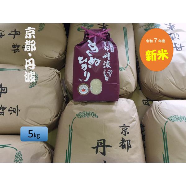 米　新米　令和７年産 　契約栽培　京都　丹波産　(丹波高原)　きぬひかり　100％白米　５キロ　【発...