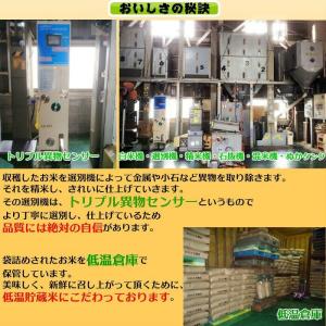 米 新米 令和7年産 契約栽培 京都 丹波産 ...の詳細画像2