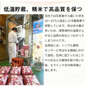 米 新米 令和7年産 契約栽培 京都 丹波産 ...の詳細画像5