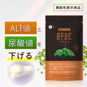 肝匠プロネス premium (90日分) みな...の商品画像