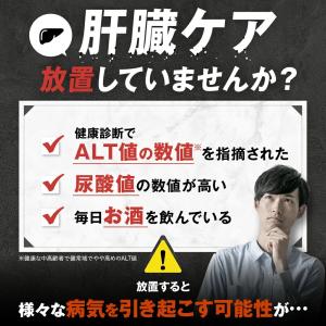 肝匠プロネス premium (90日分) み...の詳細画像3