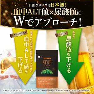肝匠プロネス premium (90日分) み...の詳細画像4