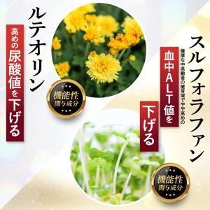 肝匠プロネス premium (90日分) み...の詳細画像5