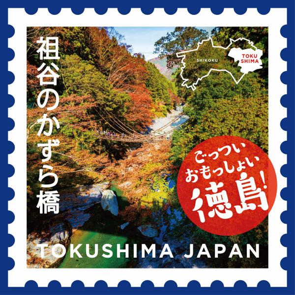 祖谷のかずら橋　ティーバッグ　徳島　四国　土産　お土産配り　ばらまき　国産　抹茶入　玉露玄米茶